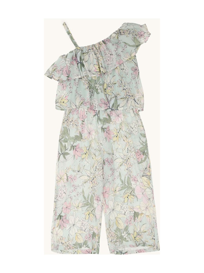 OVERALL - PURE WATER